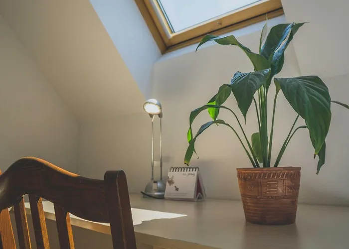 Comfortable With Mountain View - One Bedroom * Bovec